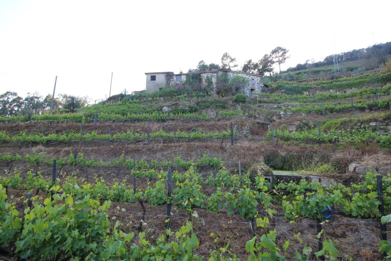 바이아오 Casas Do Campo Da Moita 빌라 외부 사진